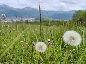 photo,france